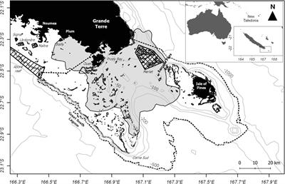 Social Structure, Habitat Use and Injuries of Indo-Pacific Bottlenose Dolphins (Tursiops aduncus) Reveal Isolated, Coastal, and Threatened Communities in the South Pacific